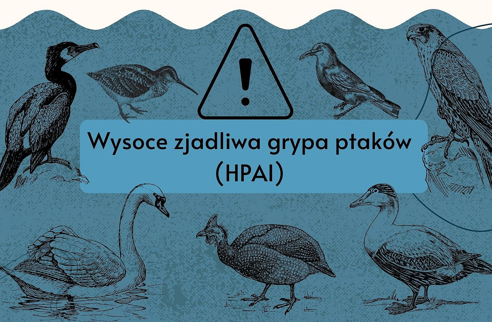 Przypomnienie Powiatowego Lekarza Weterynarii w Bielsku-Białej