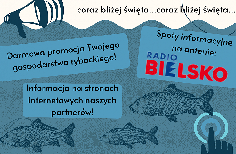 Tworzymy bazę punktów sprzedaży ryb