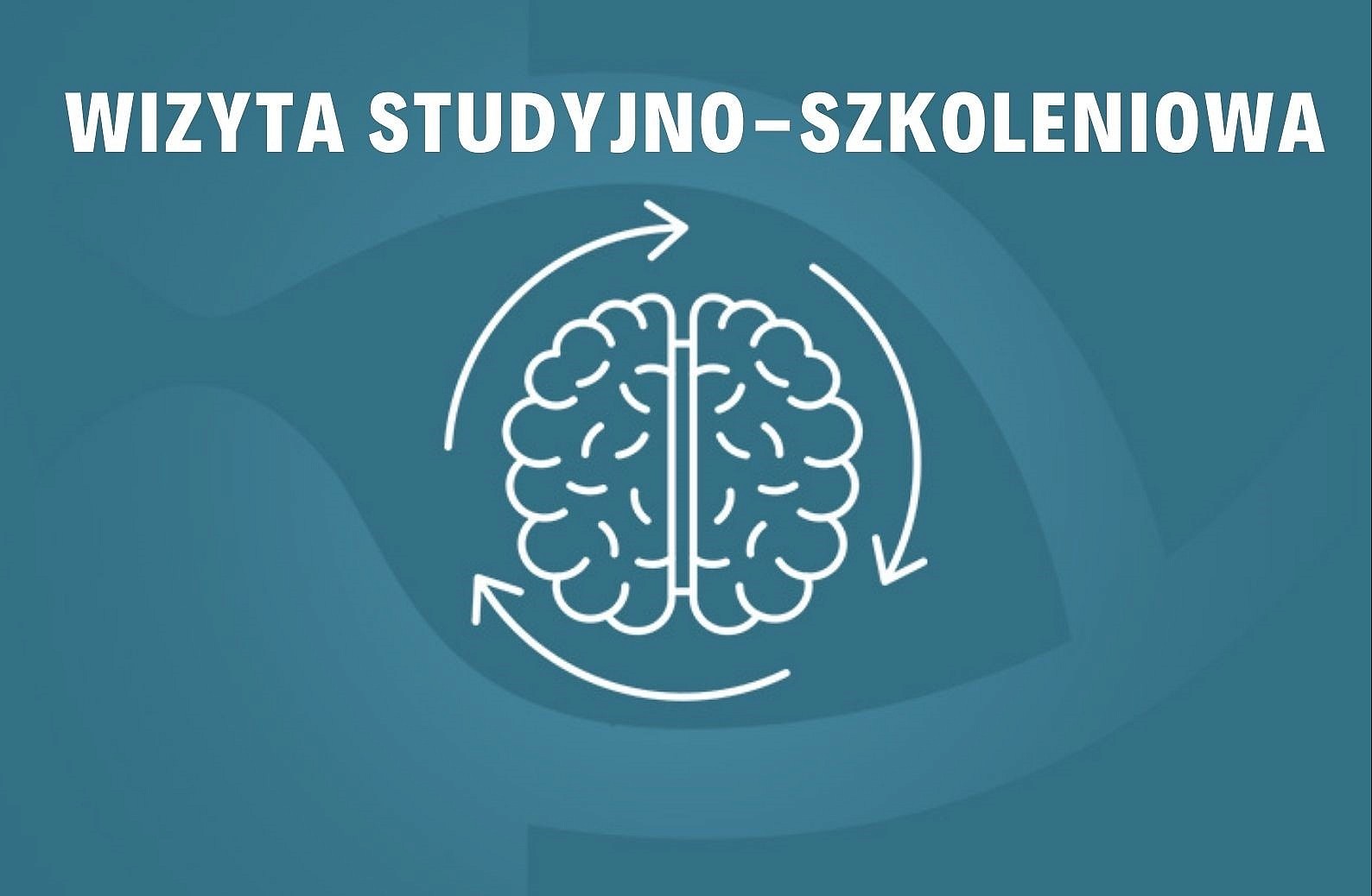 Szkolenie z branży rybackiej oraz wizyta studyjna szansą na rozwój kompetencji osób z sektora rybackiego