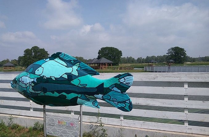 Branżowe szkolenia dla podmiotów branży rybackiej w 2018 r.