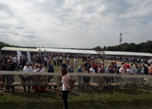 Dożynki Jasnogórskie 2022 