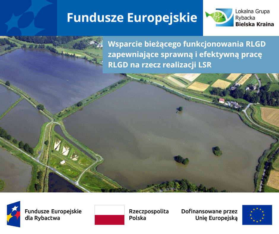 Wsparcie bieżącego funkcjonowania RLGD zapewniające sprawną  i efektywną pracę RLGD na rzecz  realizacji LSR
