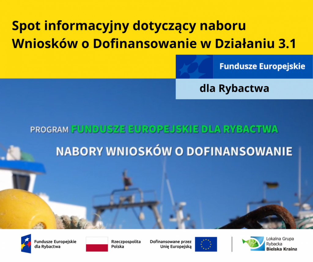 Spot informacyjny dotyczący naboru Wniosków o Dofinansowanie w Działaniu 3.1